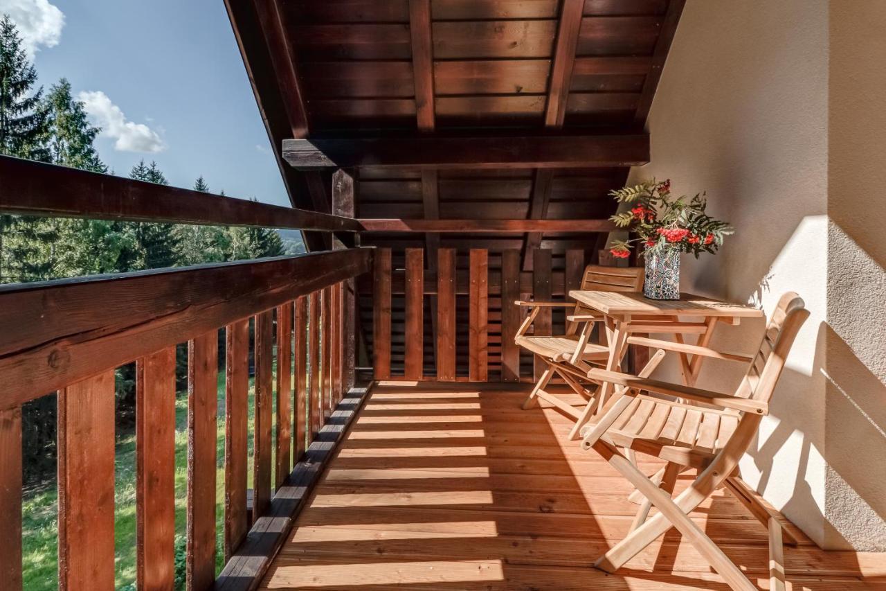 Ski, Hike & Bike Apartment Rokytnice nad Jizerou